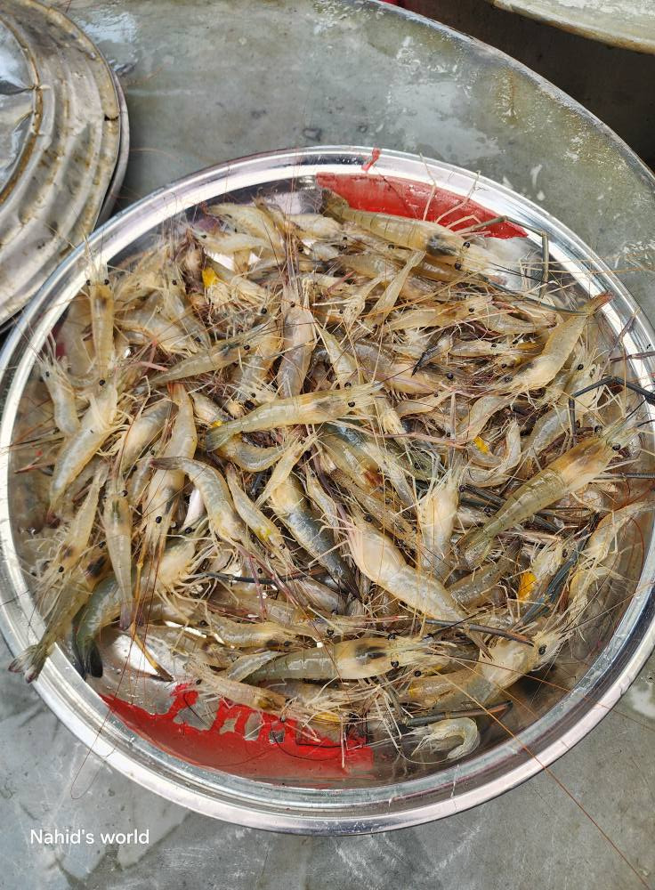 চালি চিংড়ি