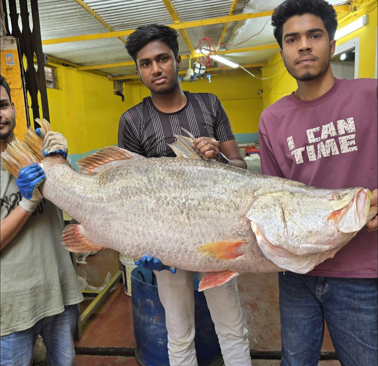 River Koral Fish(নদীর কোরাল)