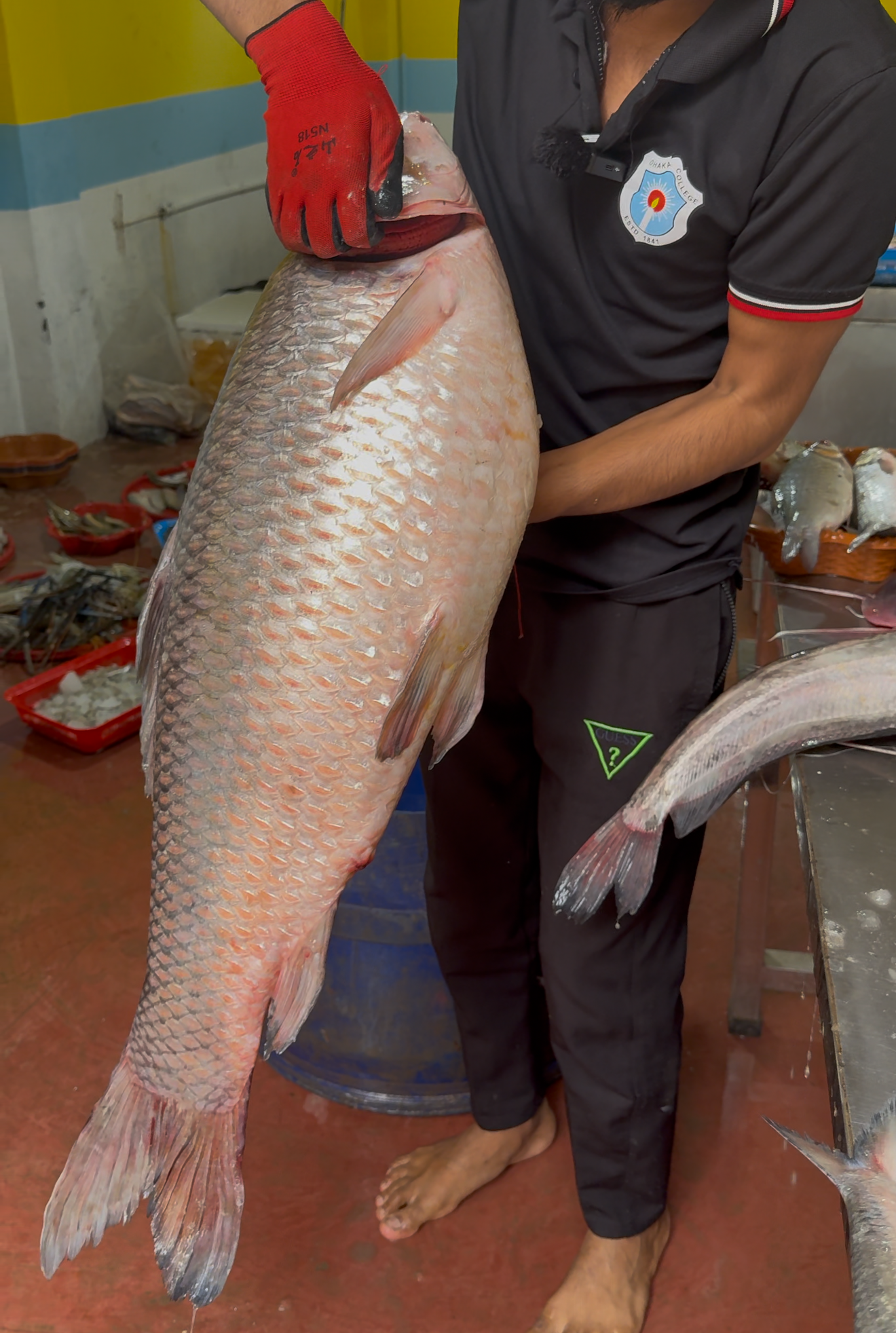 নদীর রুই ৪-৫ কেজি সাইজ