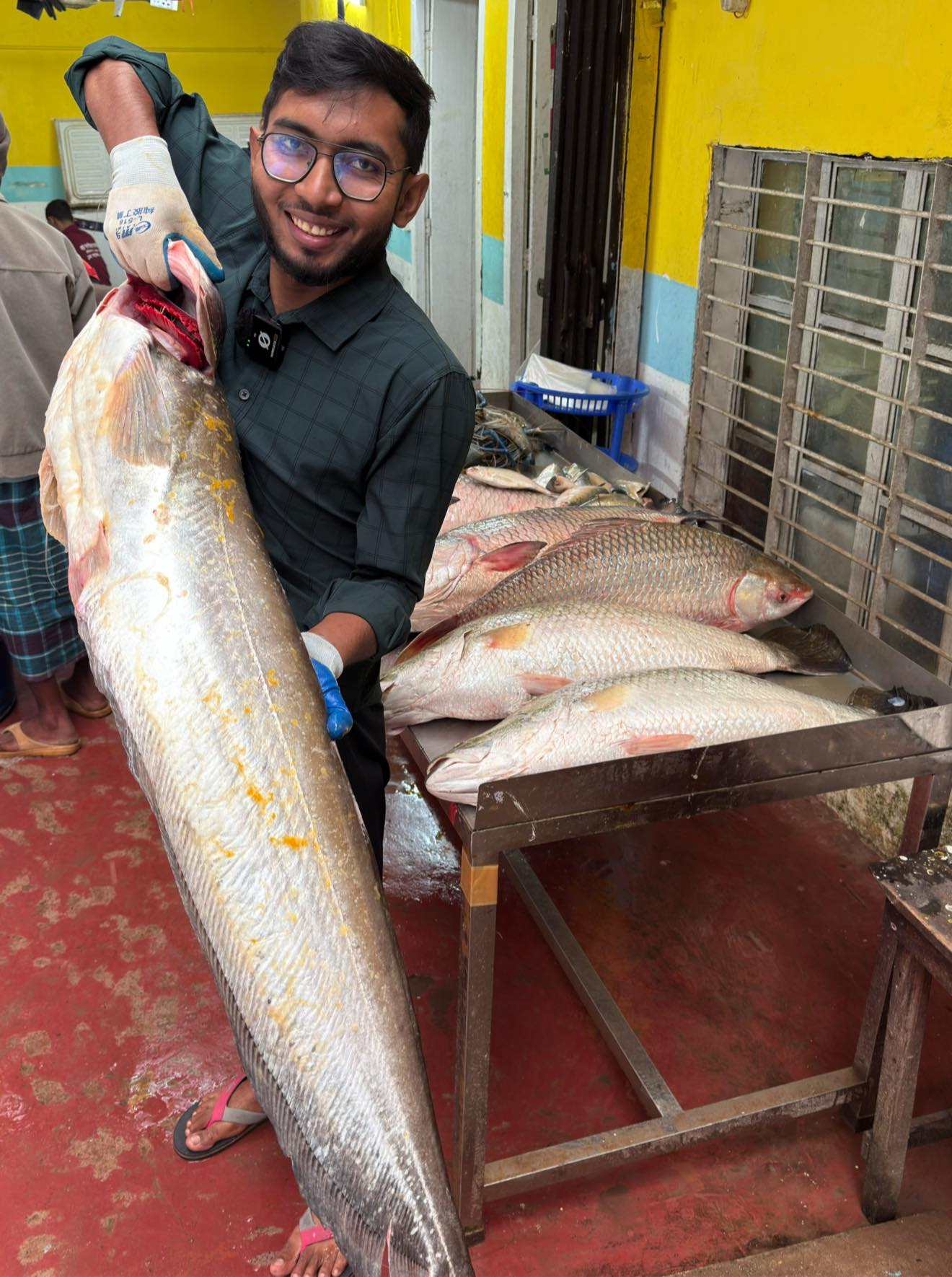 River Boal Fish.(নদীর বোয়াল).size:5-6 kg