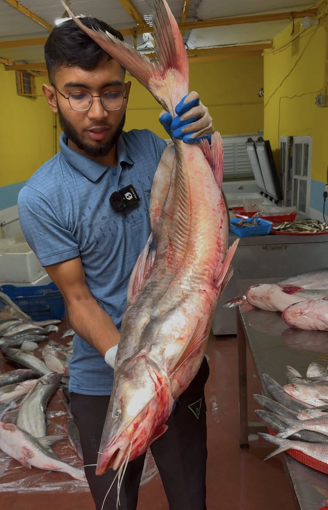 নদীর আইড় 2-3 কেজি সাইজ