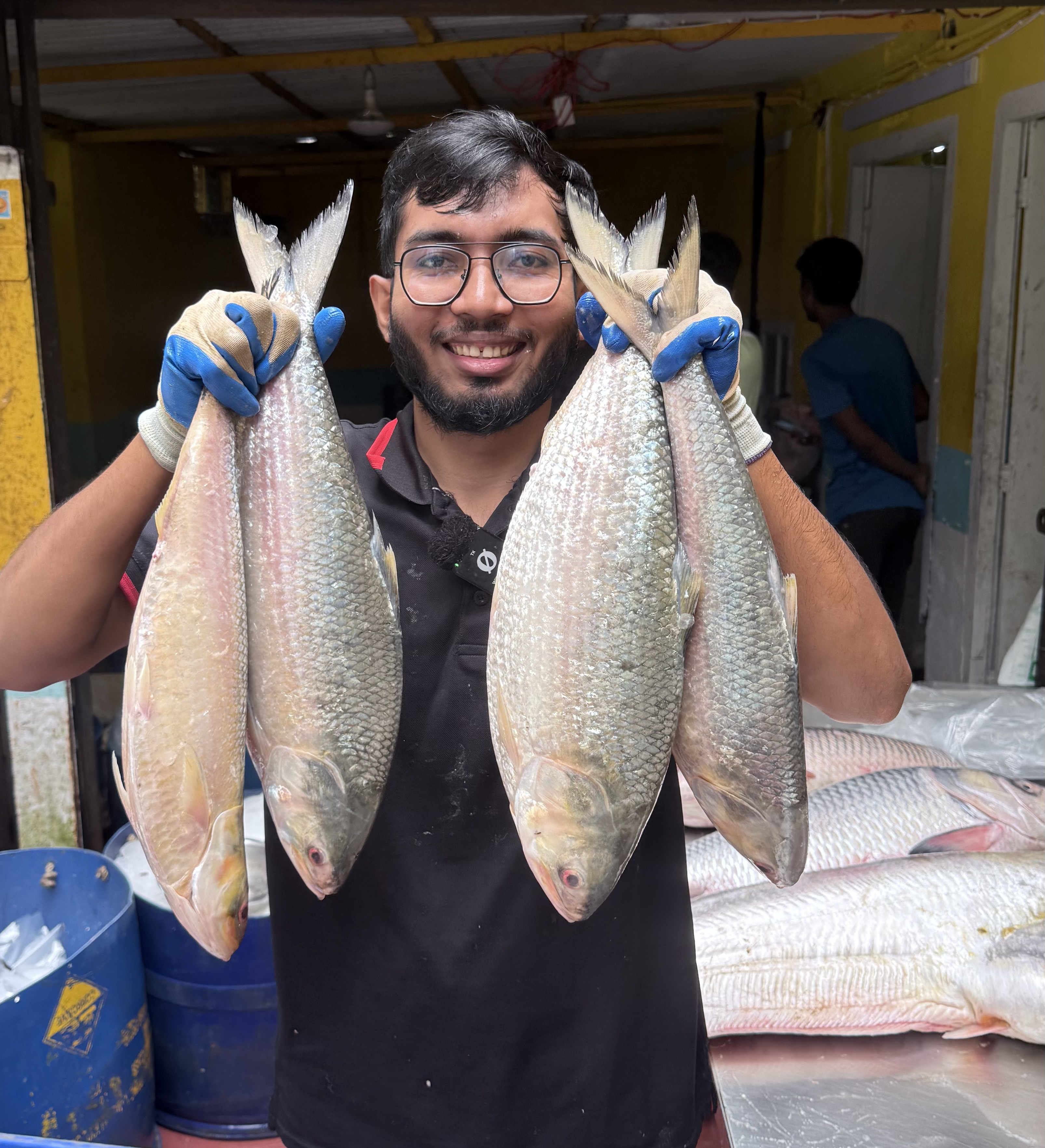 ইলিশ 1200 - 1300 গ্রাম সাইজ