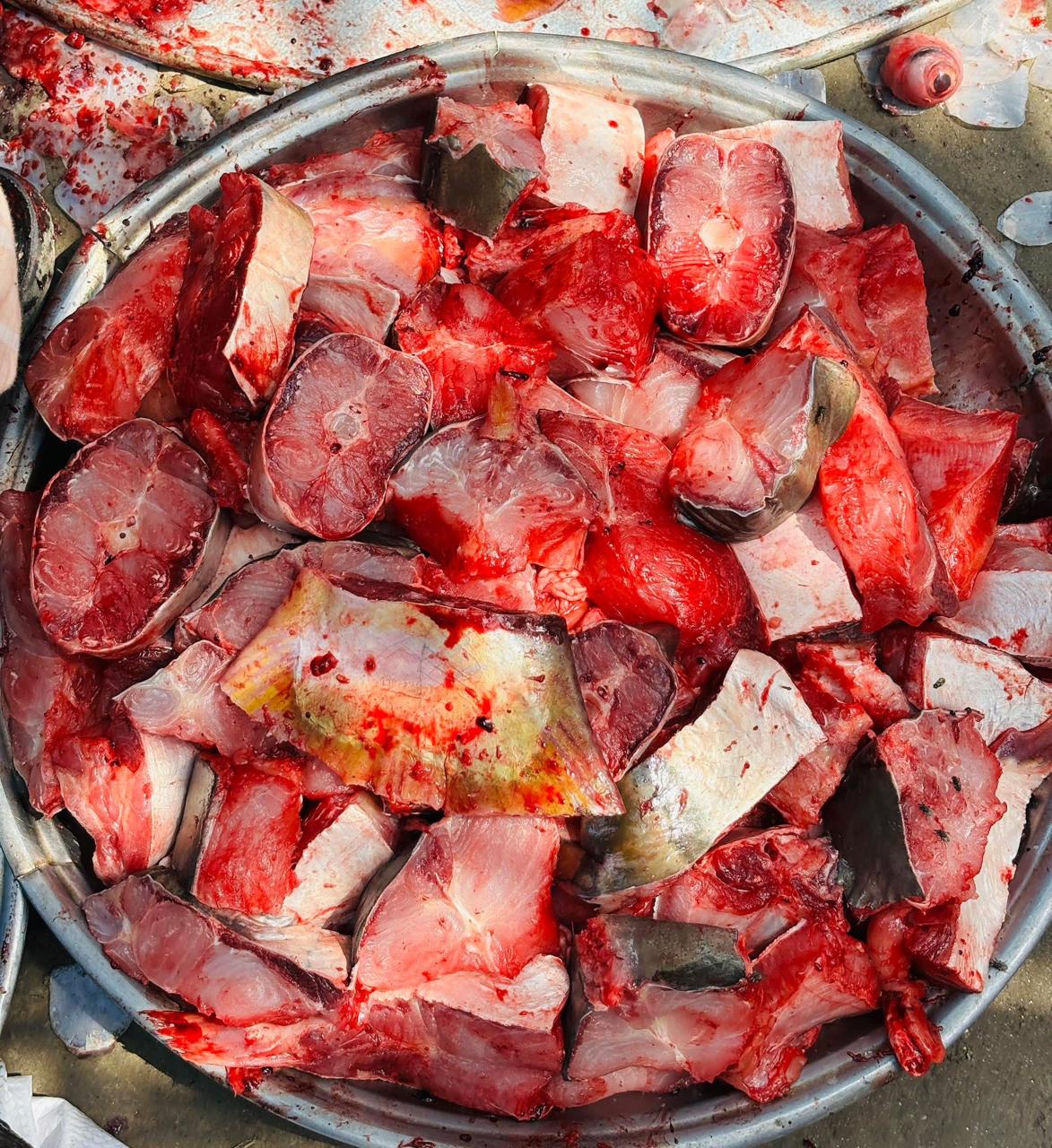 River Pangash Cutting-(নদীর পাংগাস)-1kg