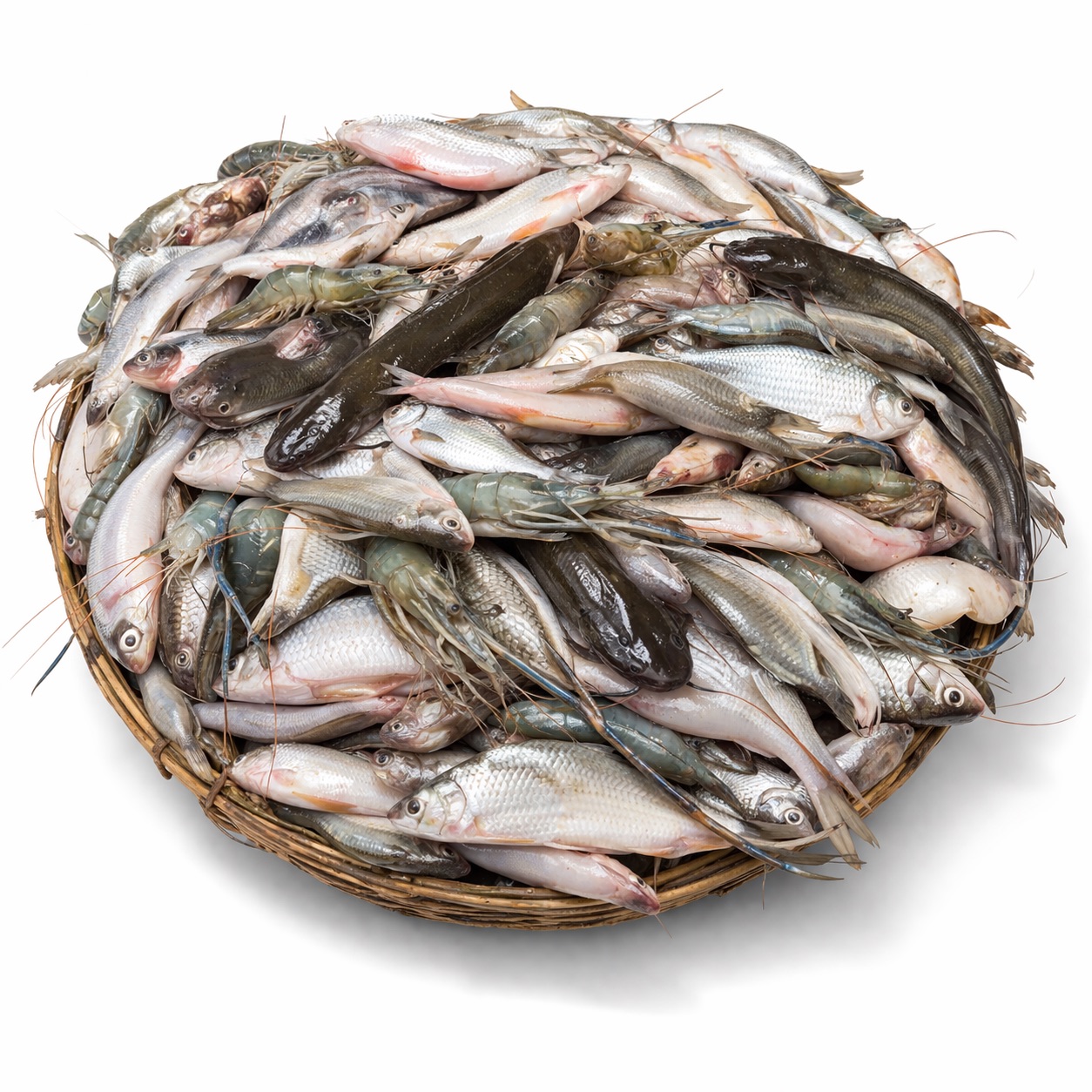 দশ মিশালি মাছ (Ready to Cook)